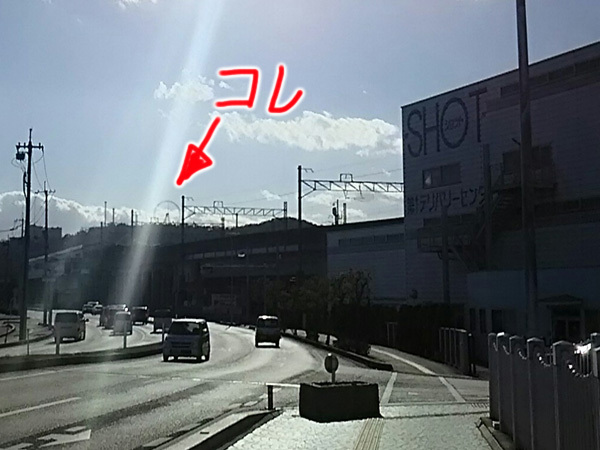 1229鷲羽山ハイランド