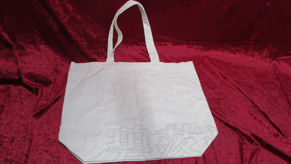 大きいエコバッグ01